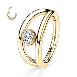 hengkaixuan 16G Klappsegment Clicker Ring 10mm Knorpel Conch Ring Gold Helix Ohrring Creole Klar CZ 316L Chirurgischer Stahl Nasenring Tragus Daith Ohrringe Piercing Schmuck von hengkaixuan