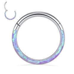 hengkaixuan 16G Septum Schmuck Weiß Lila Septum Clicker Ring Daith Ohrringe Chirurgenstahl 316L Higned Segment Seamless Nose Hoop Ring Silberne Knorpelohrringe Helix Tragus Rook Piercing Schmuck 9mm von hengkaixuan