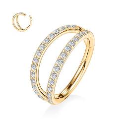 hengkaixuan 18G Knorpelohrringe Conch Hoop Ring Nasenringe Helix Ohrring Hoop Gold 316L Chirurgenstahl Higned Segment Seamless Clicker Ring Doppelt gestapelt mit CZ Lobe Creolen Nasenring 10mm von hengkaixuan