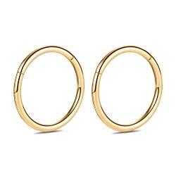 hengkaixuan 2Pcs 10mm Titan 14G Klappsegment Ohrringe Knorpel Helix Lippe Tragus Nasenring Hoop Sleeper Body Piercing von hengkaixuan