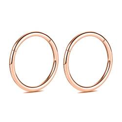 hengkaixuan 2Pcs 12mm Titan 14G Klappsegment Ohrringe Knorpel Helix Lippe Tragus Nasenring Hoop Sleeper Body Piercing von hengkaixuan