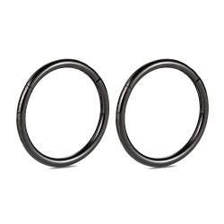 hengkaixuan 2Pcs 7mm Titan 16G Klappsegment Ohrringe Knorpel Helix Lippe Tragus Nasenring Hoop Sleeper Body Piercing von hengkaixuan