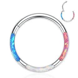 hengkaixuan Septum Schmuck MIx Opal Septum Clicker Ring 16G Daith Ohrringe Chirurgenstahl Higned Segment Nahtloser Nasenring Silber Knorpel Ohrring Helix Tragus Rook Conch Hoop Piercing Schmuck 6mm von hengkaixuan