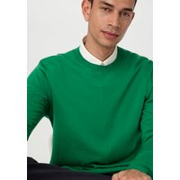 hessnatur Herren Feiner Pullover Regular aus Bio-Merinowolle - grün - Größe 46 von hessnatur