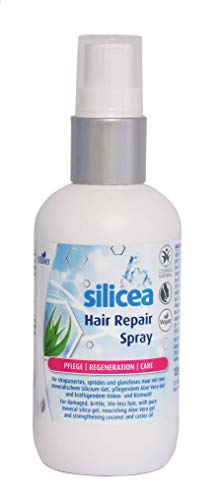 Hübner Original silicea Hair Repair Spray | Zertifizierte Naturkosmetik für strapaziertes, geschädigtes Haar | Sprühkur mit Kieselsäure-Gel und Aloe Vera | vegan | 120 ml von hübner