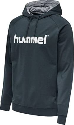 hummel Hmlgo Logo Hoodie Unisex Kinder Multisport von hummel