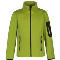 Icepeak Funktionsjacke K FLEECEJACKE KEVELAER mit hohem Stehkragen von icepeak