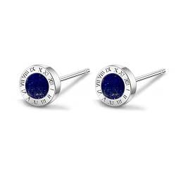 Immobird Ohrstecker 925 Sterling Silber Ohrringe Damen Lapislazuli-Ohrringe Unisex Weihnachtsgeschenke Geschenke Für Männer Und Frauen von immobird