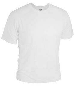 Seiden-T-Shirt mit Rundhalsausschnitt für Herren - 100% Seide (as3, Alpha, l, Regular, Regular, Weiß) von inSilk