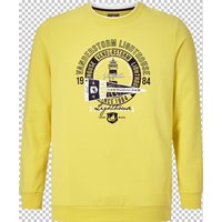 Sweatshirt DYRIK Jan Vanderstorm gelb von jan vanderstorm