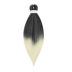 2024 Perücke, Perücken Highlight Gradient Afrikanische Haarfarbe Dirty Braid Extension Perücke Schwarze Perücke Perücken (Color : C, Size : One Size) von ksjfjrhw
