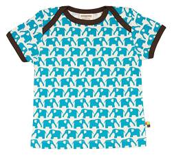 loud + proud Baby - Jungen 204 T Shirt, Türkis (Aqua ), 74-80 EU von loud + proud