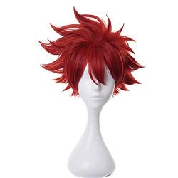 Anime-Cosplay-Perücke Reki Perücke für Männer und Frauen Rot Haare für Halloween, Karneval, Kostümparty mit gratis Perückenkappe von maysuwell