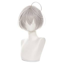Anime Cosplay Wig Kawaragi gray Wig for Men Women Rot hair for Halloween carnival Q3Costume Party with Free Wig Cap von maysuwell