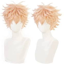 Anime Cosplay Wig Kawata Nahoya Wig for Men Women Orange hair for Halloween carnival Q3Costume Party with Free Wig Cap von maysuwell
