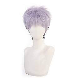 Anime Cosplay Wig Mitsuya Takashi Wig for Men Women Lila hair for Halloween carnival Q3Costume Party with Free Wig Cap von maysuwell