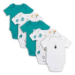 schlummersack Baby Body Set 100% Bio Baumwolle Kurzarm Unisex Polarfreunde Größe 74 6-9 Monate | 5 Stück Body Baby Mädchen Jungen | Babybody Kurzarm Set | Sommer Bodys Kurzarmbody von schlummersack