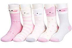 syisocks Mädchen Socken 5 Paar Baumwollsocken für Jungen und Katzen Kleinkindsocken 9-11 Jahre alt von syisocks
