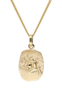 trendor 15436-02 Wassermann Sternzeichen Gold 585 mit vergoldeter Silberkette von trendor