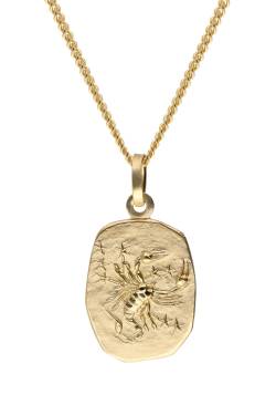 trendor 15436-11 Skorpion Sternzeichen Gold 585 mit vergoldeter Silberkette von trendor