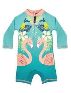 weVSwe Badeanzug Baby Junge UV Anzug SPF 50+ Schwimmanzug Einteiliger Schwimmshirt Langarm Hellgrüne Flamingos Sonnenanzug 2 Jahre von weVSwe