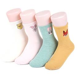 Disney Sneakers Women's Socks 4 pairs Made in Korea - Coin 02 (POOH,PIGLET,JUDY,NICK) von world look