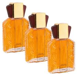 100ML Dubai-parfüm Für Männer, Dubai Parfum Herren, Dubai Eau De Parfum for Men, Erfrischender Langanhaltender Duft (3 Flasche) von wuwuhen