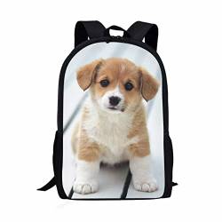 xixirimido Kinder Schultasche 43,2 cm Rucksack für Jungen Mädchen Schulter Büchertasche Rucksack, Niedlicher Corgi Hund, Einheitsgröße, Lässiger Tagesrucksack von xixirimido