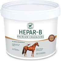 Atcom Hepar-B von ATCOM HORSE