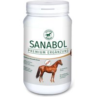 Atcom Sanabol von ATCOM HORSE