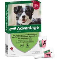 Advantage 250 fÃ¼r Hunde LÃ¶sung von Advantage