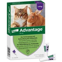 Advantage 80 mg fÃ¼r gr.Katzen und gr.Zierkaninchen von Advantage