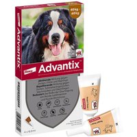 Advantix Spot-on LÃ¶sung zum Auftr.a.d.H.f.Hund 40-60 kg von Advantix