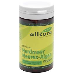 MEERESALGEN Kapseln Nordmeer von Allcura Naturheilmittel GmbH