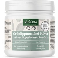 Grünlippmuschel Pulver - AniForte® von AniForte