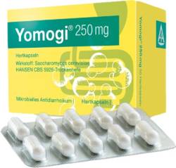 Yomogi 250mg 5 Billionen Zellen von Ardeypharm GmbH