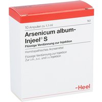 Arsenicum Album Injeel S Ampullen von Arsenicum album-Injeel