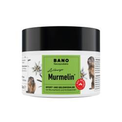MURMELIN Arlberger Murmeltiersalbe 200 ml von BANO Healthcare GmbH