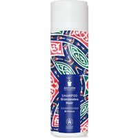 Bioturm Naturkosmetik Shampoo Glänzendes Haar 200 ml von BIOTURM