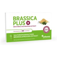 Brassica Plus von BRASSICA PLUS