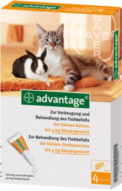 ADVANTAGE 40 L�sung f.Katzen bis 4 kg 4 St von Bayer Vital GmbH GB - Tiergesundheit