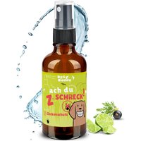 BeG Buddy Zecken Fellspray für Hund & Katze auf pflanzlicher Basis von BeG Buddy