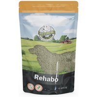 Bellfor Nahrungsergänzung für Hunde - Rehabo Pulver von Bellfor
