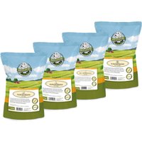 Bellfor Sparset Nr. 11 - Hundesnacks - Enten von Bellfor