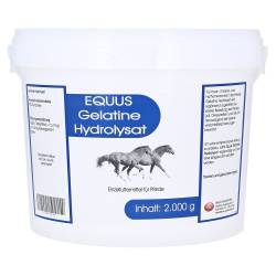 "GELATINE HYDROLYSAT Equus Pulver vet. 2000 Gramm" von "Berco - Arzneimittel, Gottfried Herzberg GmbH"