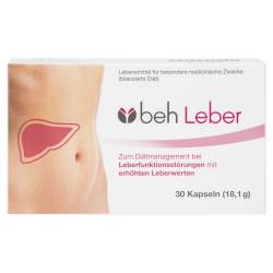 beh Leber von IMstam healthcare GmbH