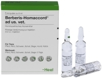 BERBERIS HOMACCORD ad us.vet.Ampullen 5X5 ml von Biologische Heilmittel Heel GmbH