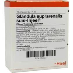 GLANDULA SUPRARENALIS suis Injeel Ampullen 10 St von Biologische Heilmittel Heel GmbH