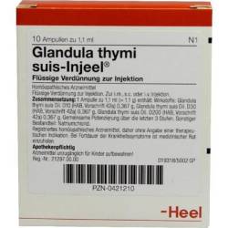 GLANDULA THYMI suis Injeel Ampullen 10 St von Biologische Heilmittel Heel GmbH