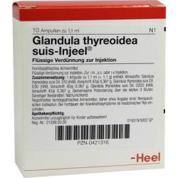 GLANDULA THYREOIDEA suis Injeel Ampullen 10 St von Biologische Heilmittel Heel GmbH